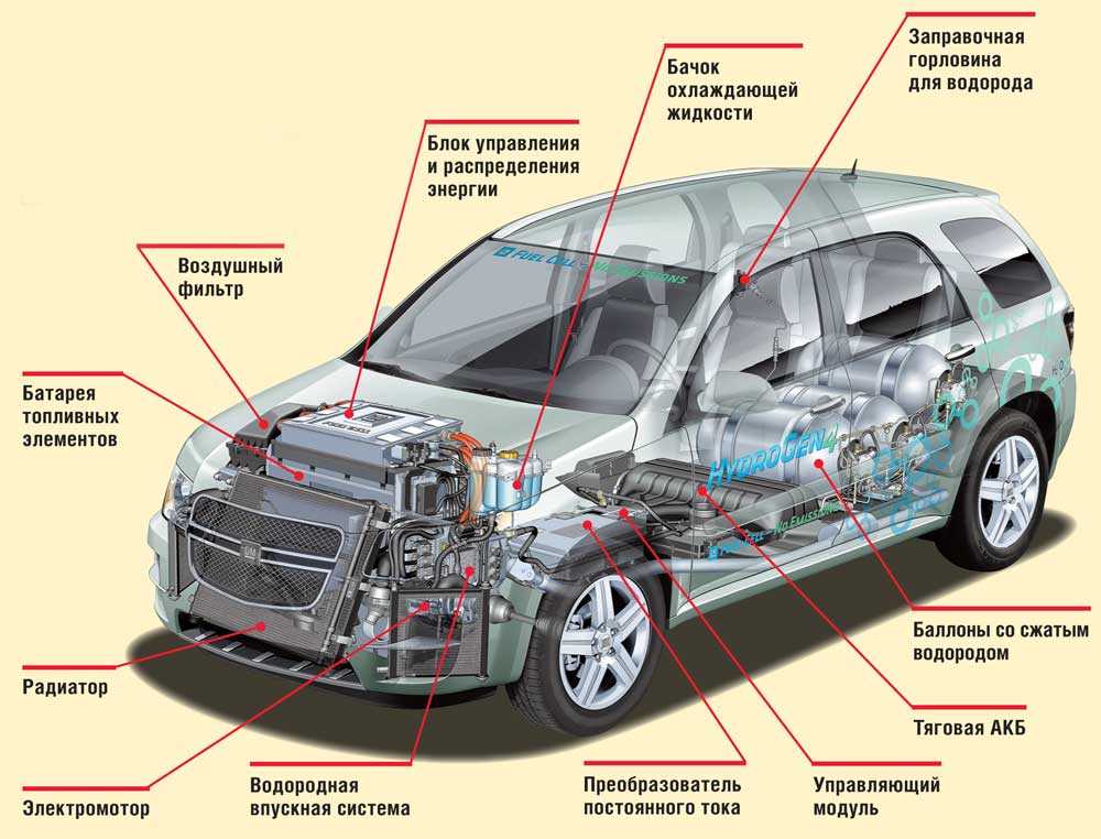 Строение авто специфика техобслуживания