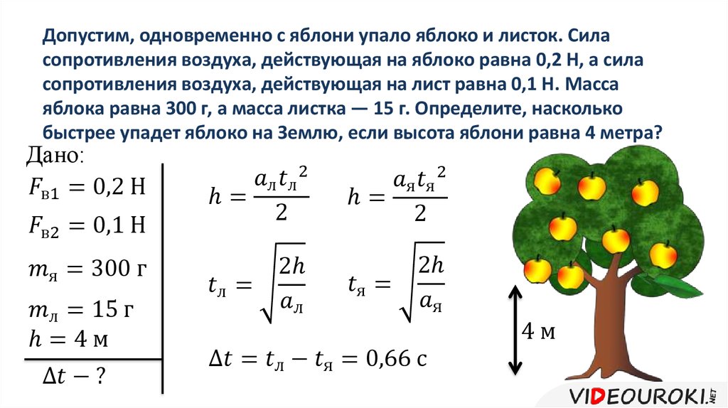 Яблоко и действующая на него сила тяжести. Сила сопротивления воздуха. Допустим одновременно с яблони упало яблоко. Допустим одновременно с яблони упало яблоко и листок. Расчет сопротивления воздуха.