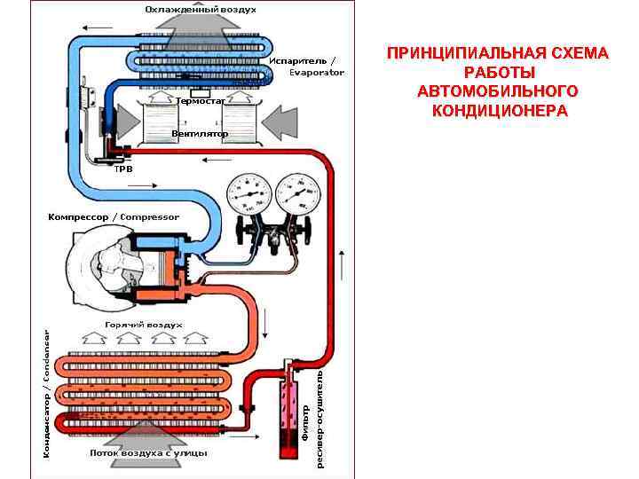 Автосалон ттс казань киа