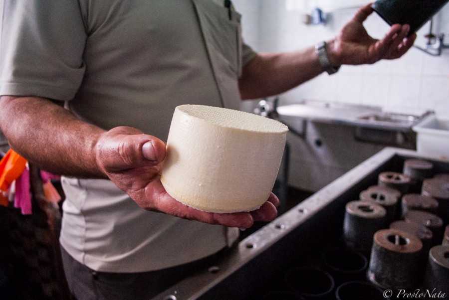 Украинский сыр. Как разрешают большие головки сыра. Как делают делают настоящий ЦСЛ. Как делается паста в головке сыра.