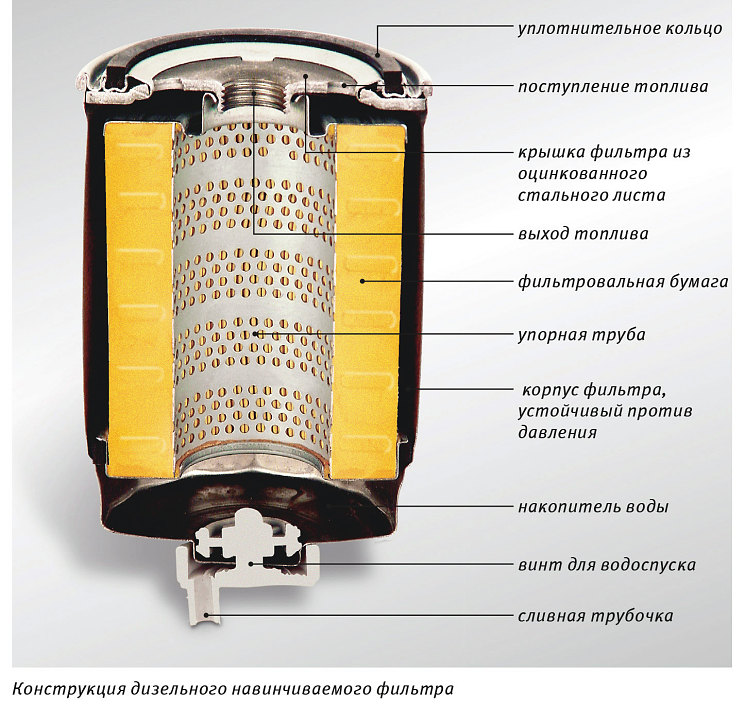 Топливный фильтр в разрезе фото