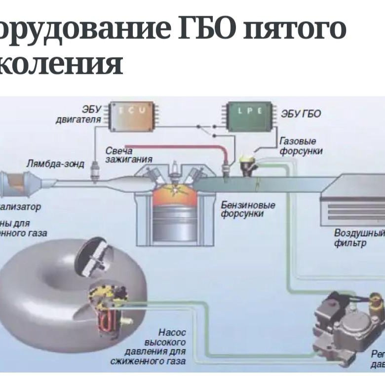 Из чего состоит газель