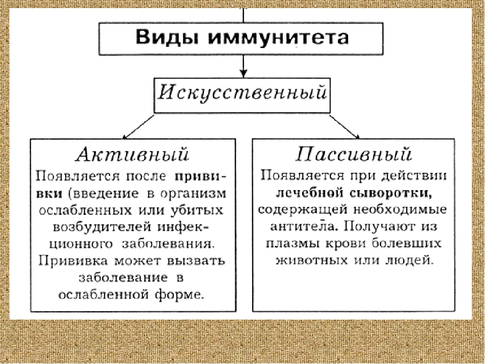 Виды пассивных. Искусственно активный и пассивный иммунитет. Искусственно пассивный иммунитет. Активный и пассивный иммунитет таблица 2. Искусственный активный и искусственный пассивный иммунитет.