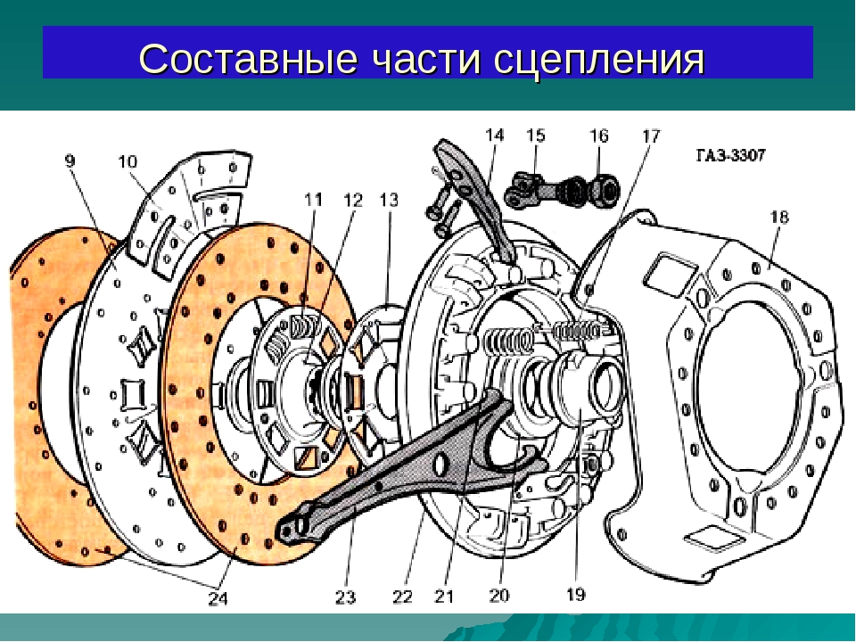 Сцепление газ 53 устройство схема картинки