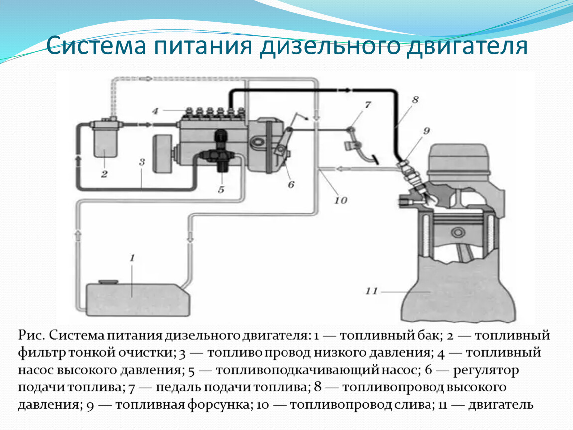 Топливная система карбюраторного двигателя