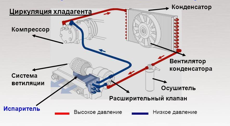 Принцип работы адсорбера автомобиля