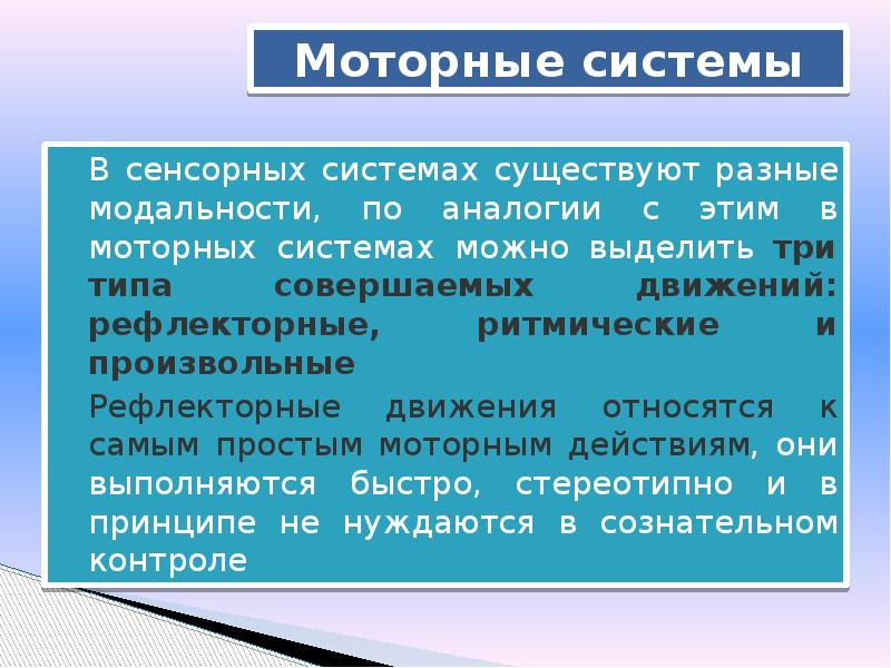 Особенности моторной сферы