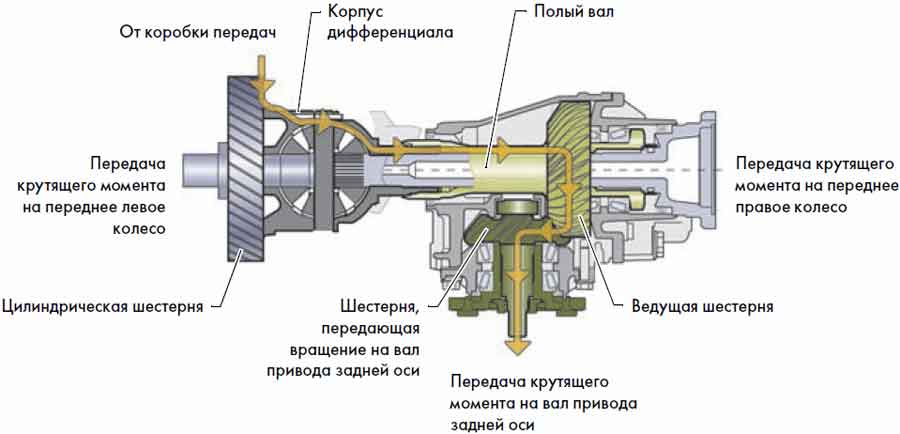 Сцепление относится к трансмиссии