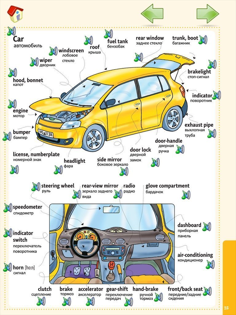 Устройство автомобиля для начинающих водителей с картинками