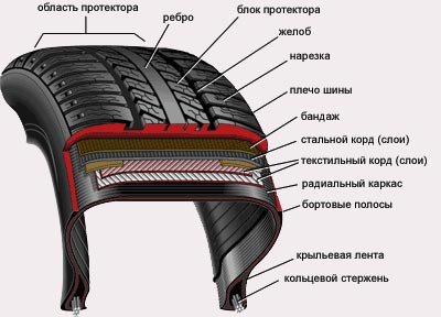 Lan шина что это