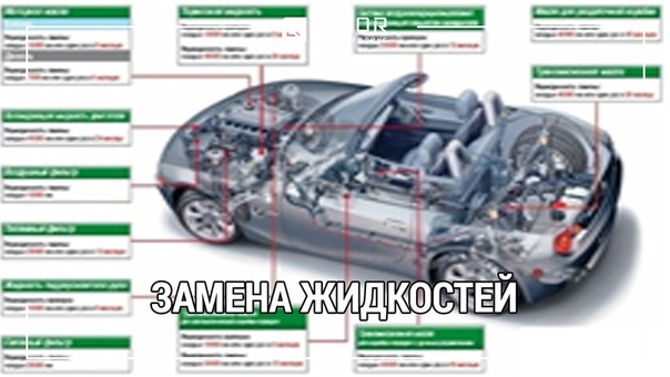 Строение авто специфика техобслуживания