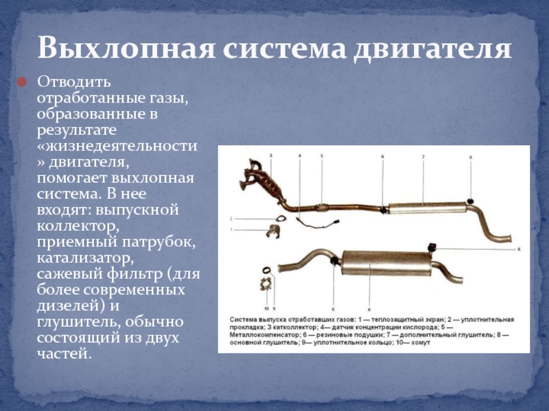 Строение выхлопной системы автомобиля