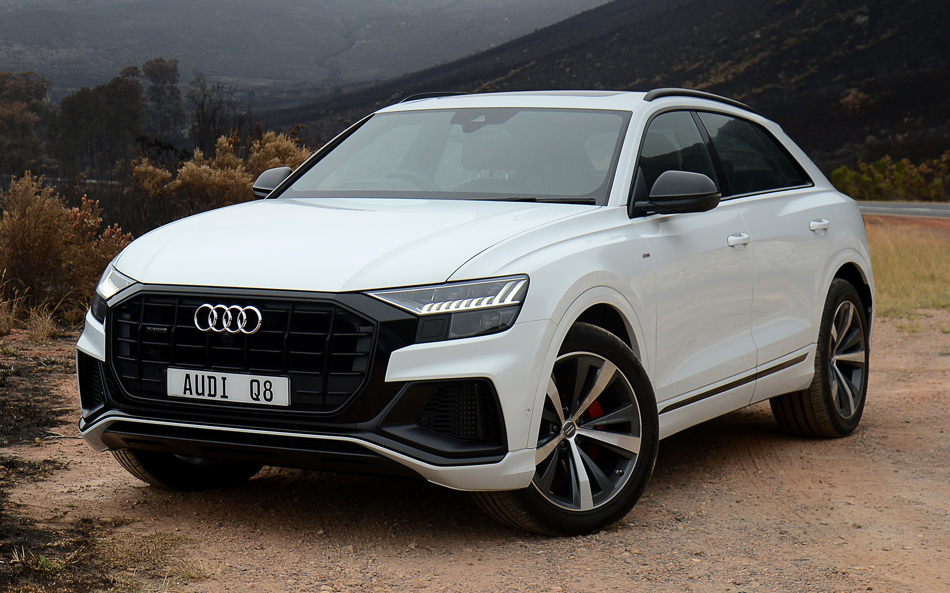 Q white. Audi q8 s-line. Audi q8 белая.