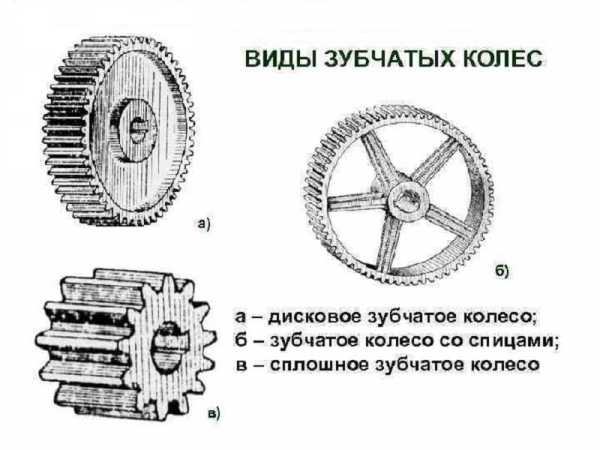 Из чего состоит шестерня