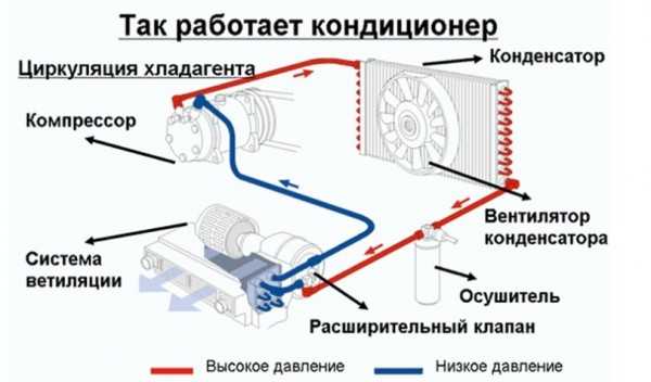 Золотник кондиционера автомобиля артикул